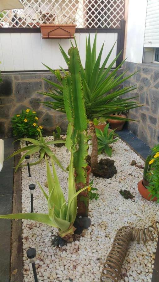 Elegant Villa In Corralejo Bagian luar foto